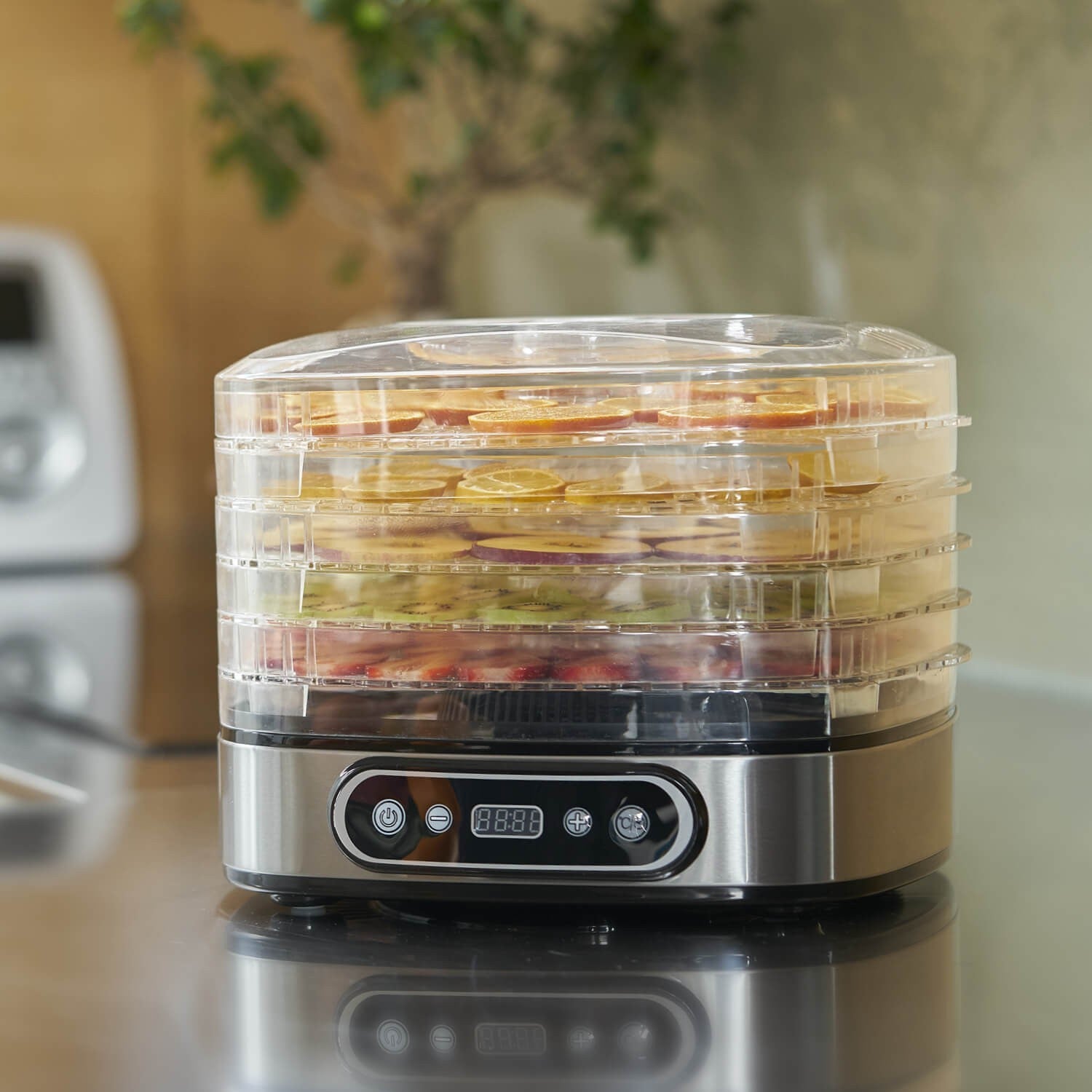 Essiccatore per Alimenti con frutta