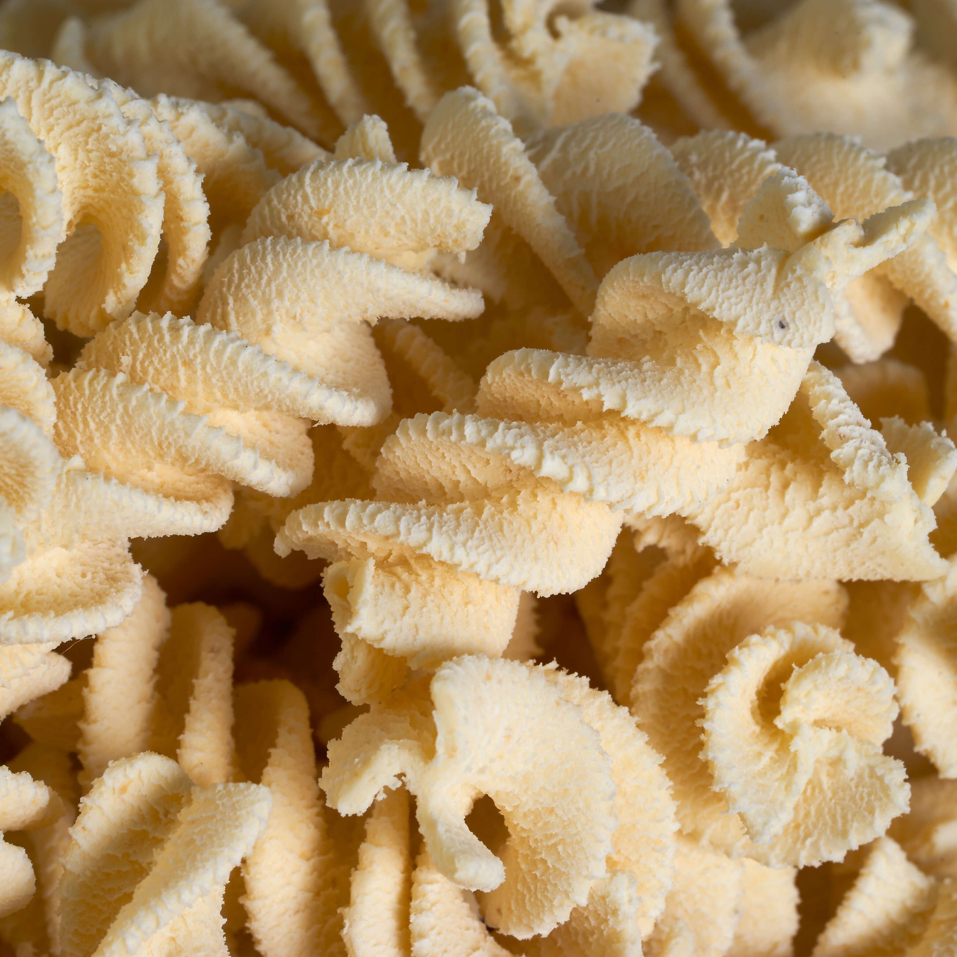 fusilli trafilati al bronzo con pastaio