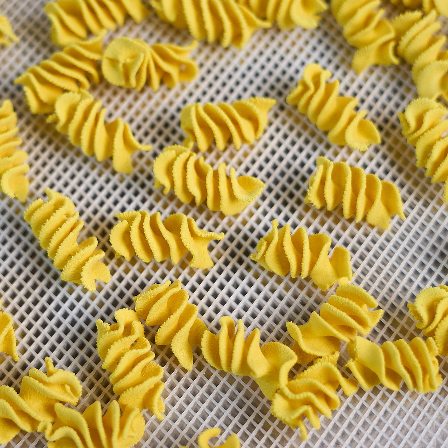 Fusilli Giganti Trafila in Bronzo per Pastaio