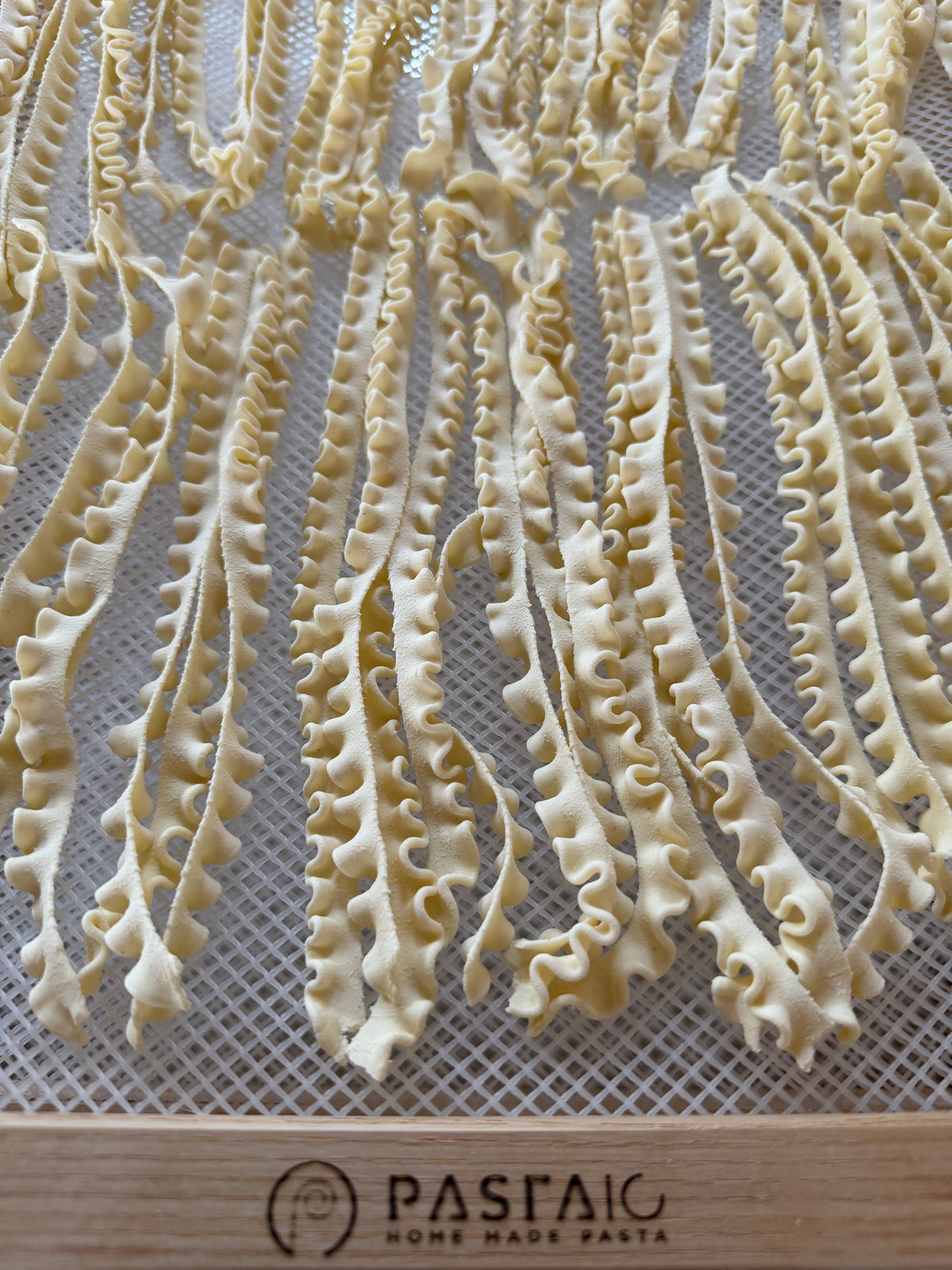 Tripoline Trafila in Bronzo per Pastaio